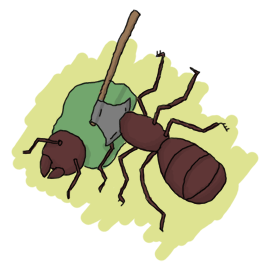 an ant being beheaded with a tiny axe