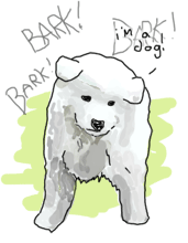 A samoyed dog barking